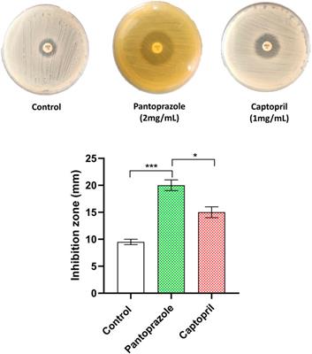 Redirecting pantoprazole as a metallo-beta-lactamase inhibitor in carbapenem-resistant Klebsiella pneumoniae